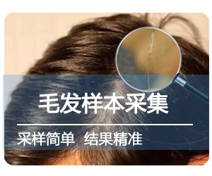 毛发样本采样方法步骤